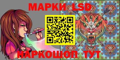 a pvp Краснознаменск