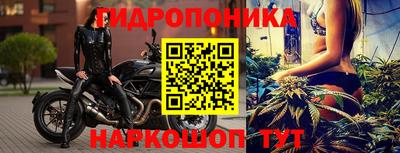 сатива Краснокаменск