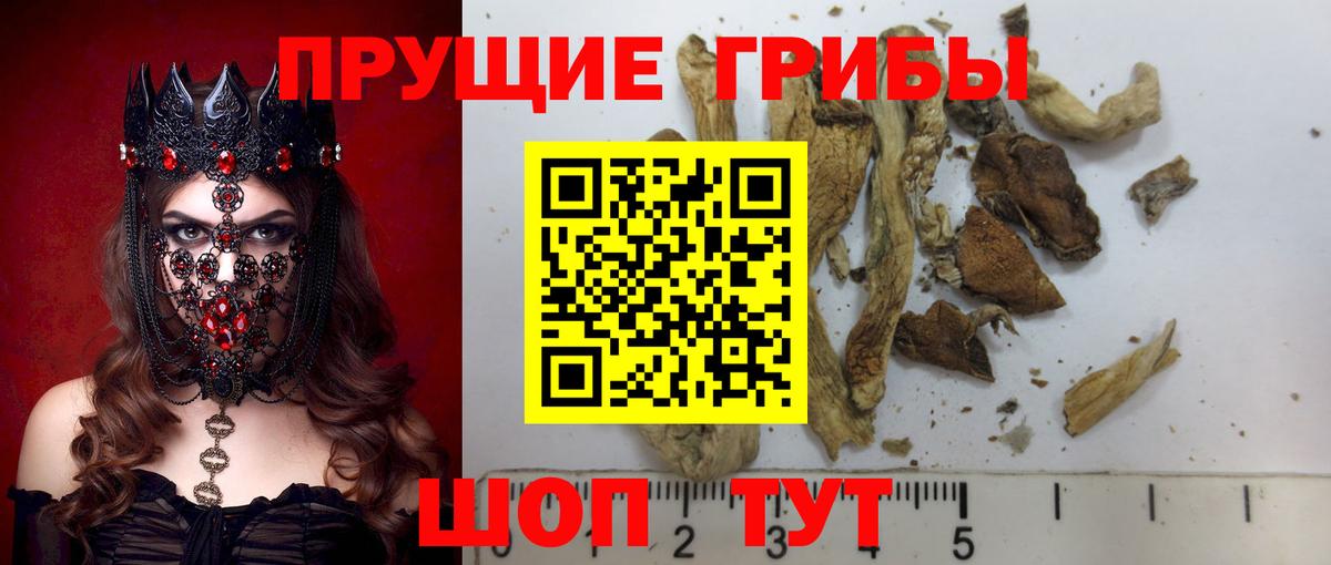 Галлюциногенные грибы мухоморы Коломна